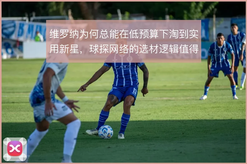 维罗纳为何总能在低预算下淘到实用新星，球探网络的选材逻辑值得深究
