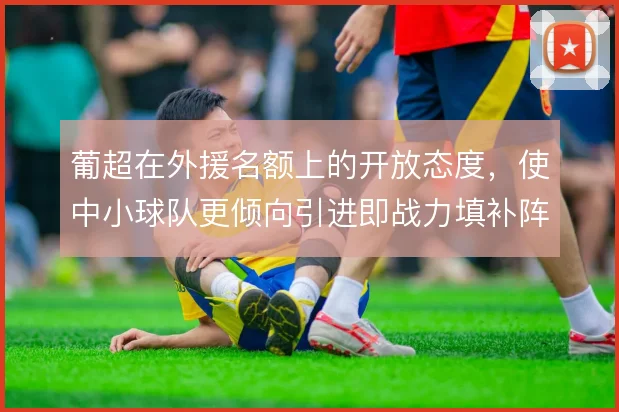 葡超在外援名额上的开放态度，使中小球队更倾向引进即战力填补阵容